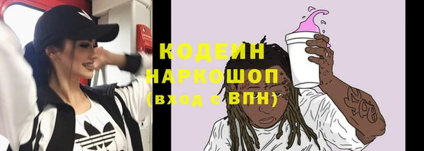 СК Бронницы