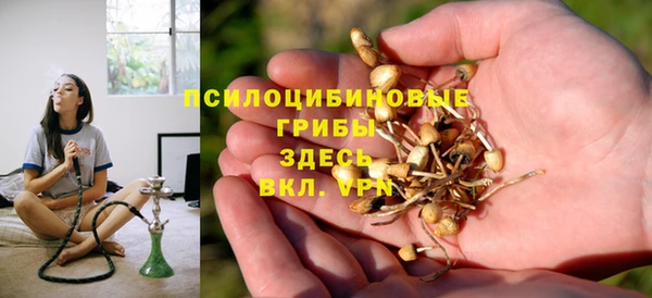 стаф Сафоново