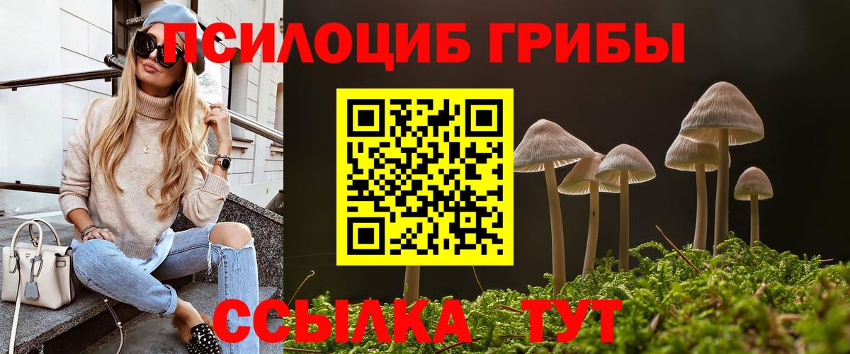Псилоцибиновые грибы Psilocybine cubensis  Вход с VPN  Галлюциногенные грибы мицелий  Буйнакск 