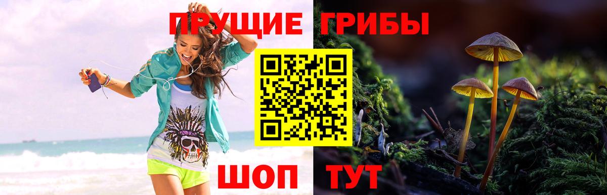 Галлюциногенные грибы Cubensis Буйнакск